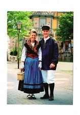 Ansichtskarte hessentag 2006 gebraucht kaufen  Winsen