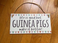 5 guinea pigs for sale 5 guinea pigs for sale Point of Rocks