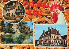 Saint germain bois d'occasion  France
