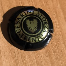 Cesarini sforza trento usato  Bari