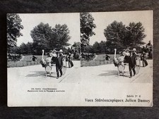 Paris garden acclimatization d'occasion  Expédié en Belgium