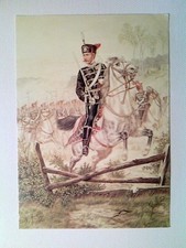 Leib husaren regiment gebraucht kaufen  Aarbergen