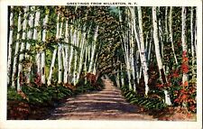 Path birch trees for sale  Kansas City