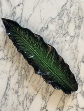 Feuille céramique pol d'occasion  France