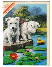 West highland terrier for sale  LIPHOOK