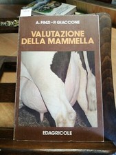 Finzi giaccone valutazione usato  Vaiano Cremasco