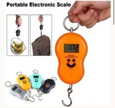 Bilancia portatile elettronica usato  Taurianova