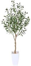 Artificial olive tree for sale  SALFORD