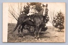 Little kids riding for sale  USA