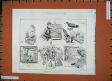 Original old antique for sale  UK