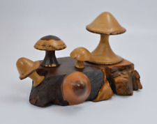 Mushrooms toadstools fungi for sale  LLANWRTYD WELLS