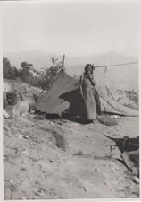 1945 darjeeling nomade d'occasion  Lurcy-Lévis