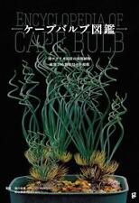 Usado, Cape Bulb Illustrated Guide Contains over 230 carefully selected bulbous plants comprar usado  Enviando para Brazil
