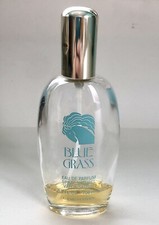 Elizabeth arden 100ml for sale  GLASGOW