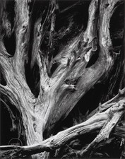 Vtg ansel adams for sale  Woodstock