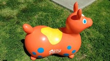 Rody max ride for sale  Imperial Beach