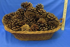 Wicker basket minnesota for sale  Bemidji