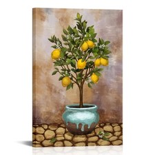 Conipit lemon wall for sale  USA