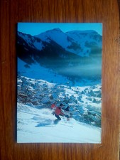 Chatel resort porte d'occasion  Expédié en Belgium