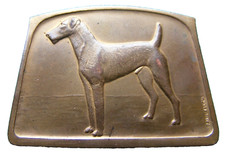 M117w airdale terrier for sale M117w airdale terrier for sale  BLACKPOOL