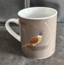 Magpie brown pheasant for sale  OKEHAMPTON