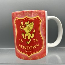 Newtown afc football for sale  ELGIN