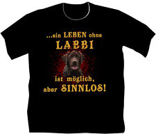 Labbi labrador hunde gebraucht kaufen  Zittau
