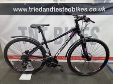 Giant rove small for sale  BOURNEMOUTH