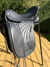 Albion slk dressage for sale  MACCLESFIELD