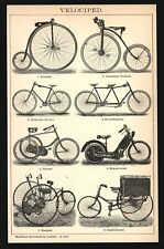Stampa anno 1901 usato  Spedire a Italy