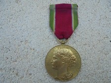 Médaille sauvetage affectée d'occasion  Trans-en-Provence
