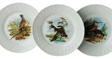 Piatti collezione richard usato  Torino