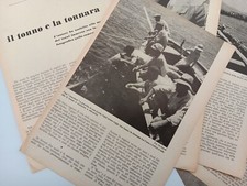 Clipping ritaglio articolo usato  Tivoli