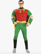 batman robin costume for sale batman robin costume for sale MANSFIELD