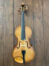 Viola 15.5 parrot for sale  COVENTRY