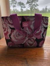 Igloo lunch bag for sale  Bronson