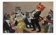 Arthur thiele chat d'occasion  Neufchâteau