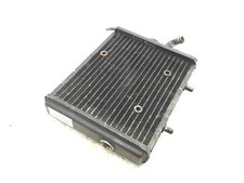 Radiatore acqua liquido usato  Viareggio