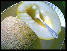 Ein Dor Melão 15 - 50 - 200 Sementes Perfumado Ponta Tropical de Abacaxi e Banana!, usado comprar usado  Enviando para Brazil