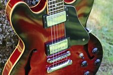 Hohner professional gitarre gebraucht kaufen  München