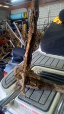 Small driftwood stump for sale  Sunbury