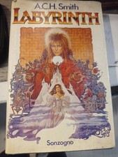 Raro libro fantasy usato  Novara