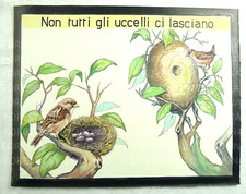 Scuola vintage illustrazione usato  Cremona