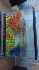 fish tank kit for sale  NEWCASTLE UPON TYNE