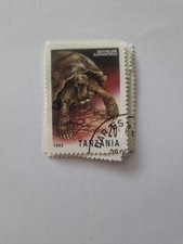 Tanzania geochelone elephantou d'occasion  Expédié en Belgium