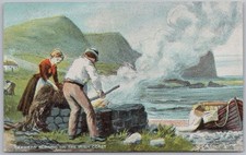 Seaweed burning irish for sale  GLASGOW