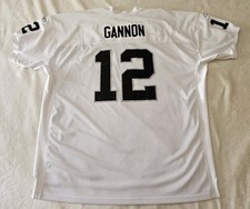 Rich gannon oakland for sale  Greenville