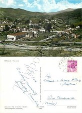 Cartolina busalla panorama usato  Milano