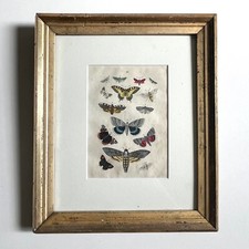 Antique framed death for sale  Brooklyn