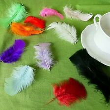 Deko federn stck gebraucht kaufen Deko federn stck gebraucht kaufen  Velbert